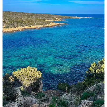 Dalex Sardinia *