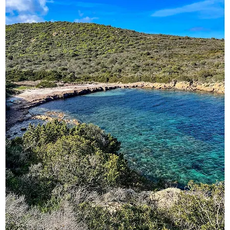 Appartement Dalex Sardinia *